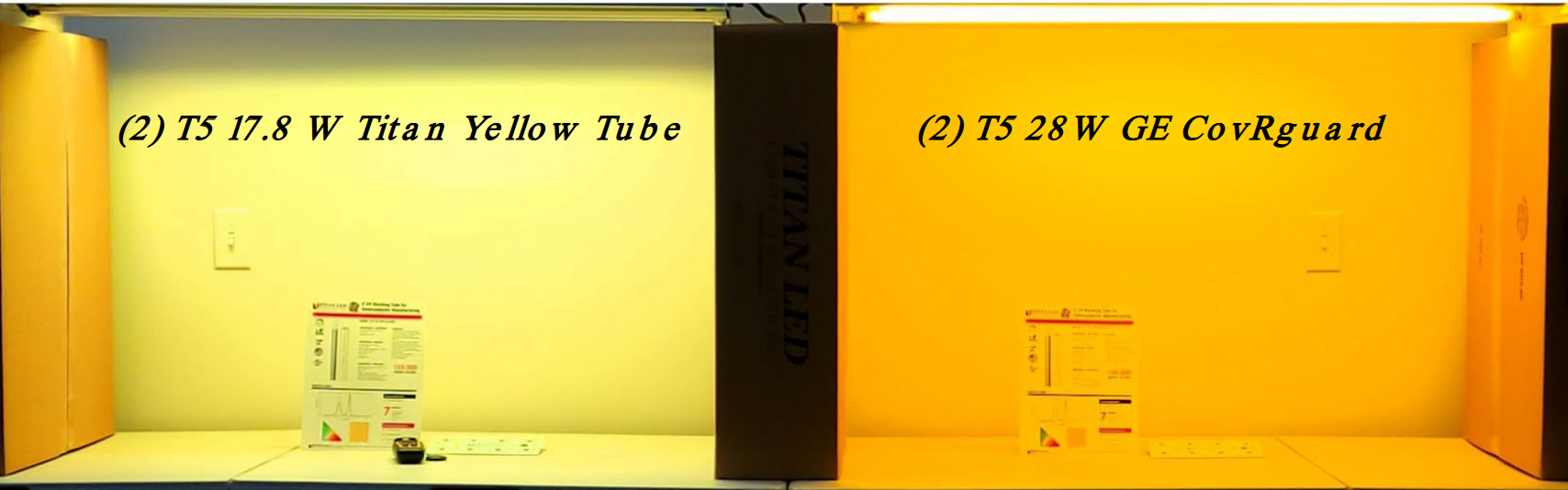 Titan T-5 Side by Side